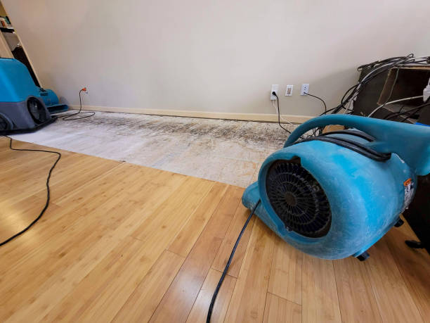 Professional Flood Damage Cleanup technician working in Mize, MS